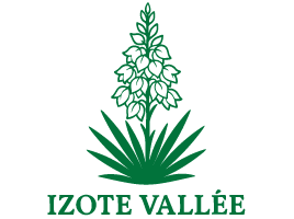 logo-izote
